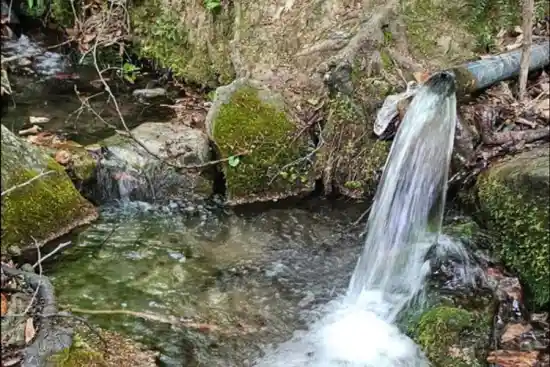 چشمه عروس و داماد