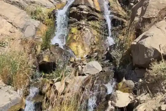 آبشار برگ جهان