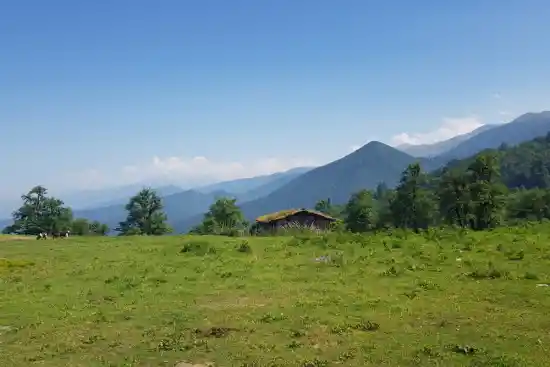 دشت امباردار