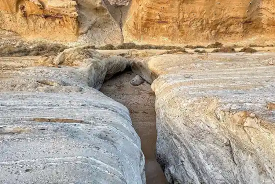 ساحل شکاف صدفی