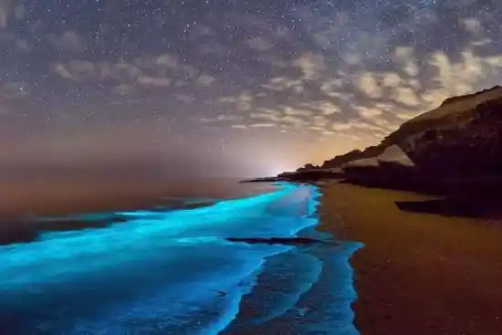 ساحل نقره ای هنگام