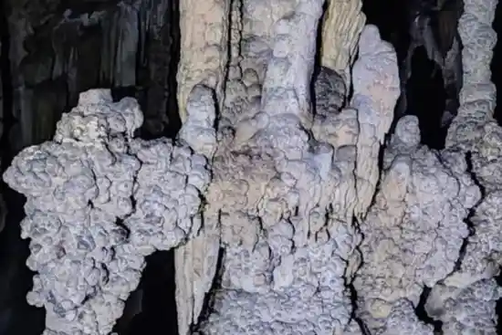 غار بره زرد