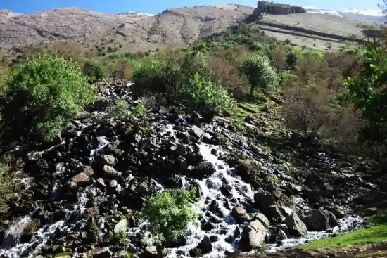 آبشار برنجگان