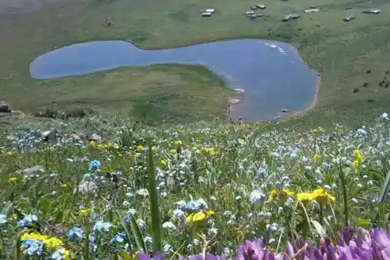 دریاچه دیارسر