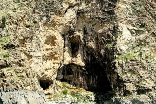 تنگه پرندگان