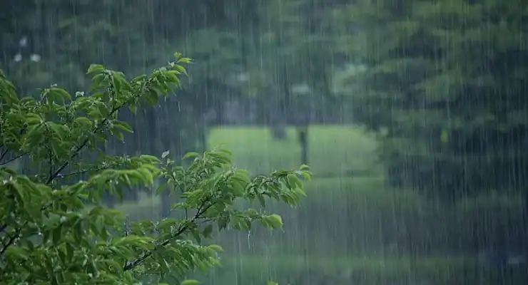 55 لوکیشن بارانی در 3 روز آینده