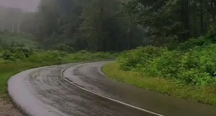 56 لوکیشن بارانی امروز